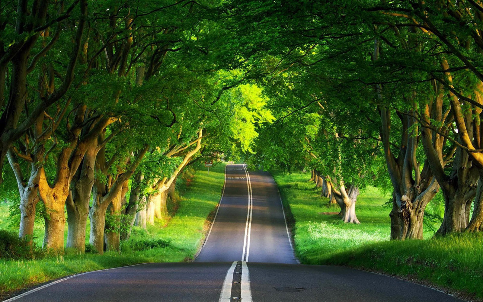 Download Cool Beautiful Nature Road Wallpaper | Full HD Wallpapers