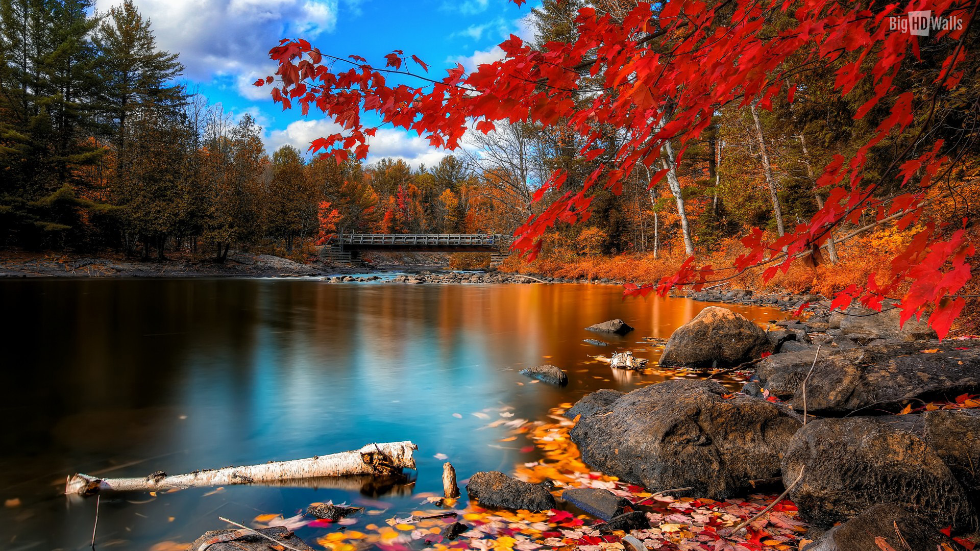 Best Fall Wallpapers
