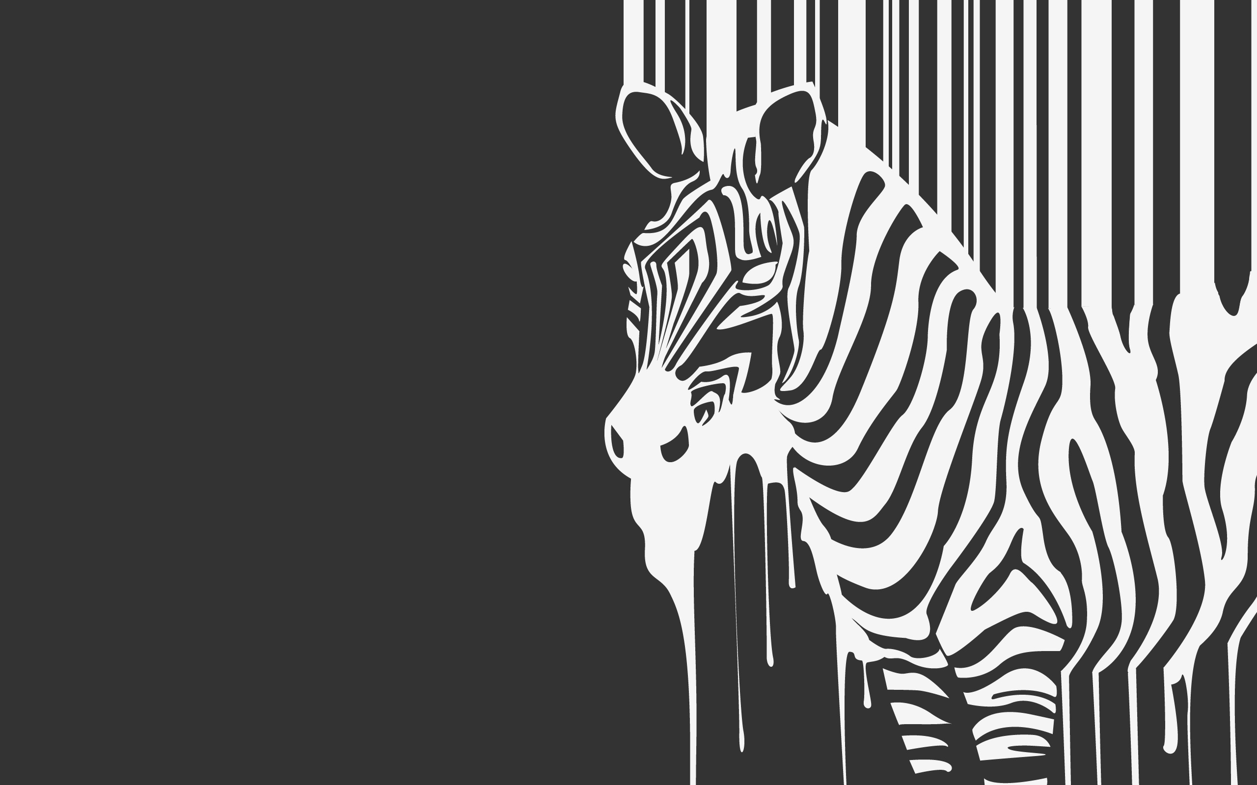 Zebra Wallpaper HD