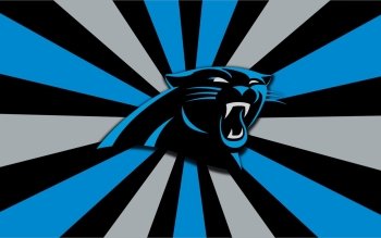 33 Carolina Panthers HD Wallpapers | Backgrounds - Wallpaper Abyss
