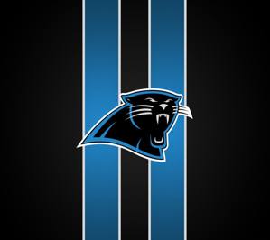 Download free carolina panthers wallpapers for your mobile phone