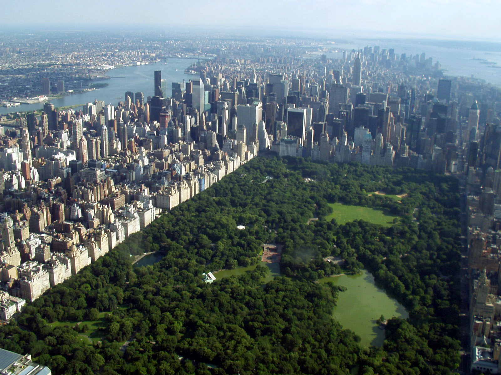 Central Park Webcam Feed, Live Stream New York City