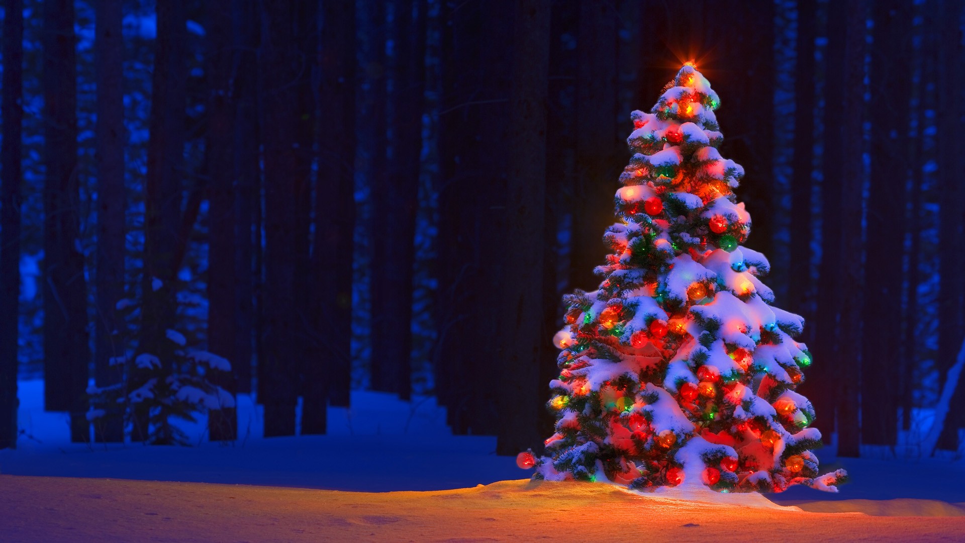 Christmas Tree Wallpaper HD Pictures – One HD Wallpaper Pictures