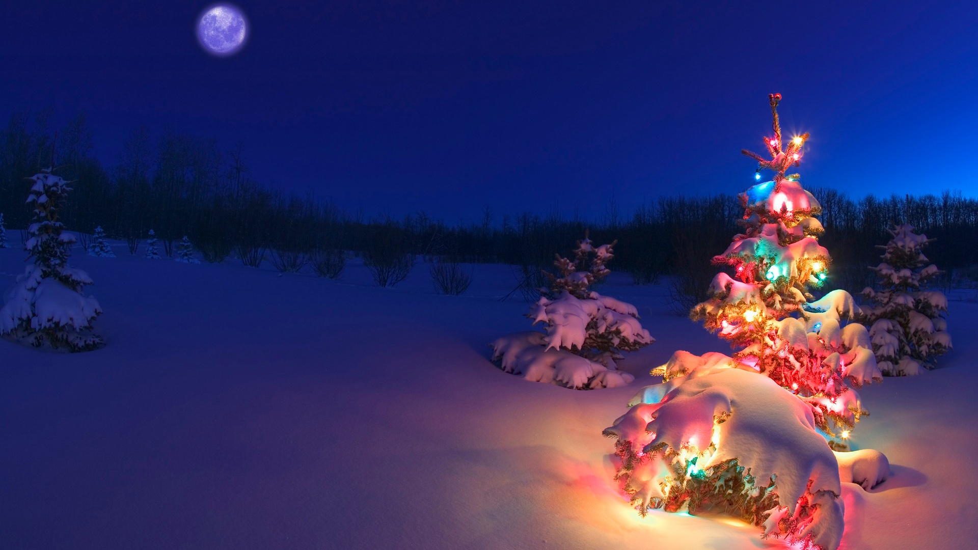 Christmas Tree Snow Wallpaper - WallpaperSafari