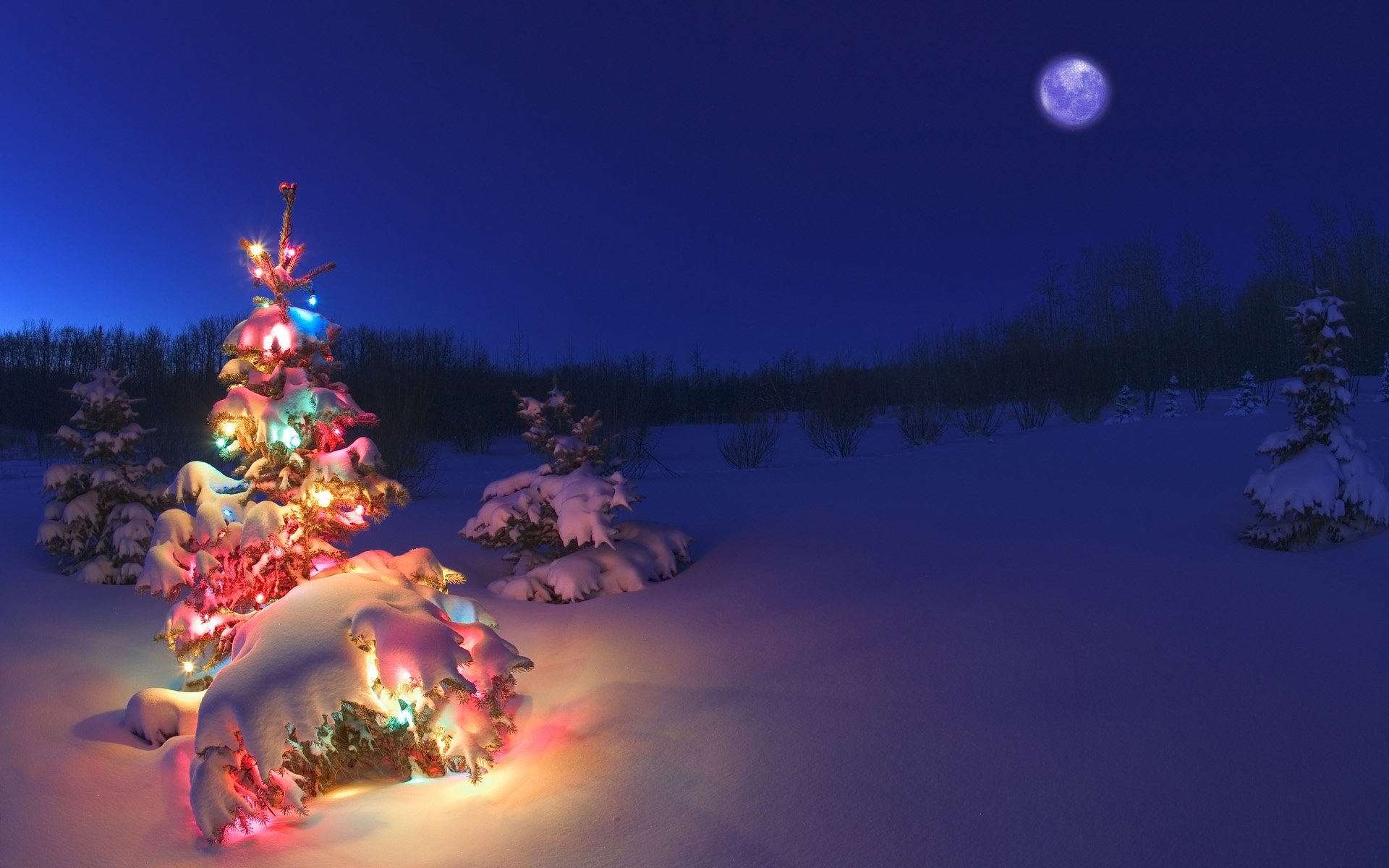 Collection of Christmas Tree Snow Wallpaper on HDWallpapers