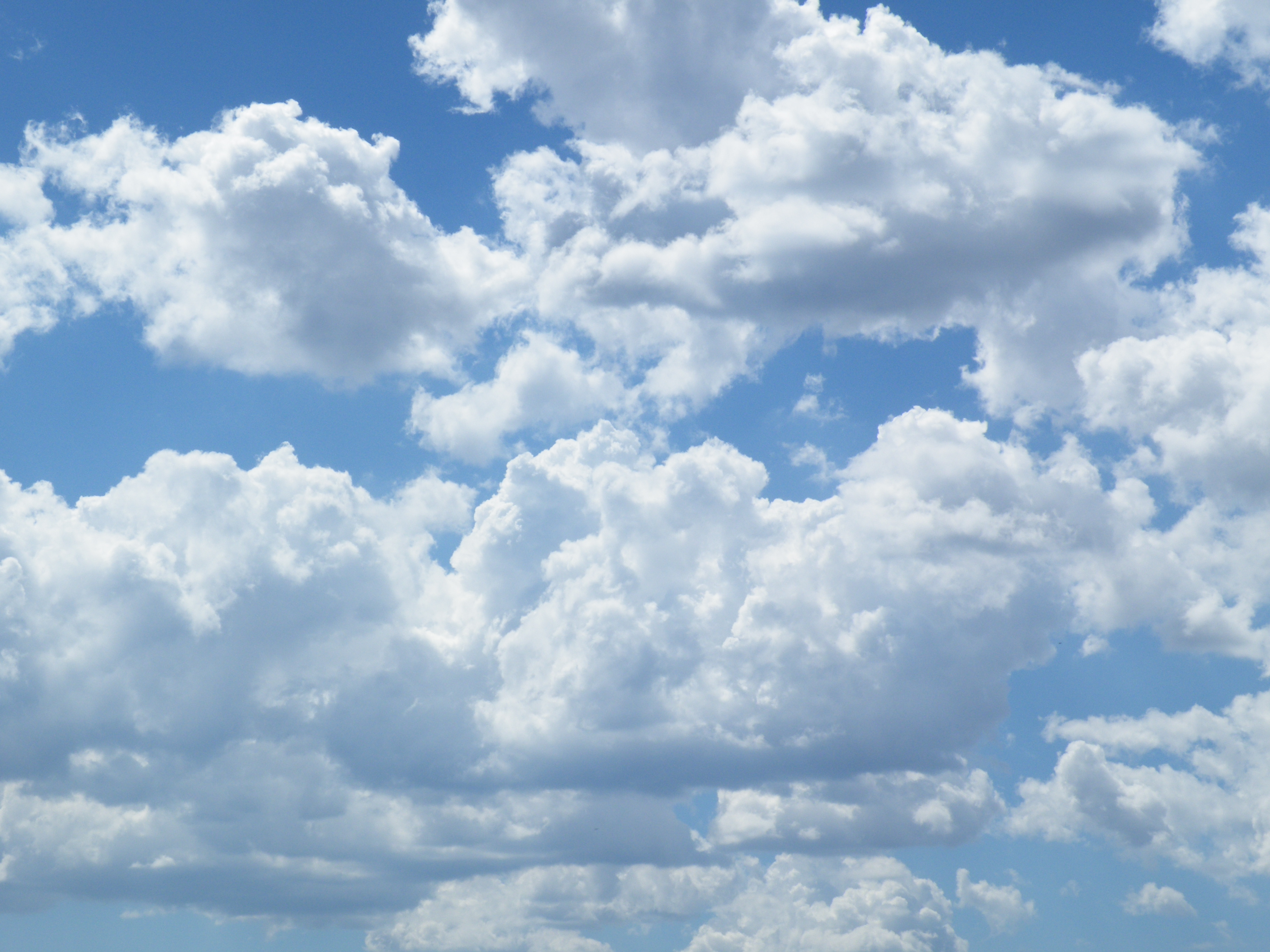 Readers: What's Your Cloud Strategy? | TechCrunch