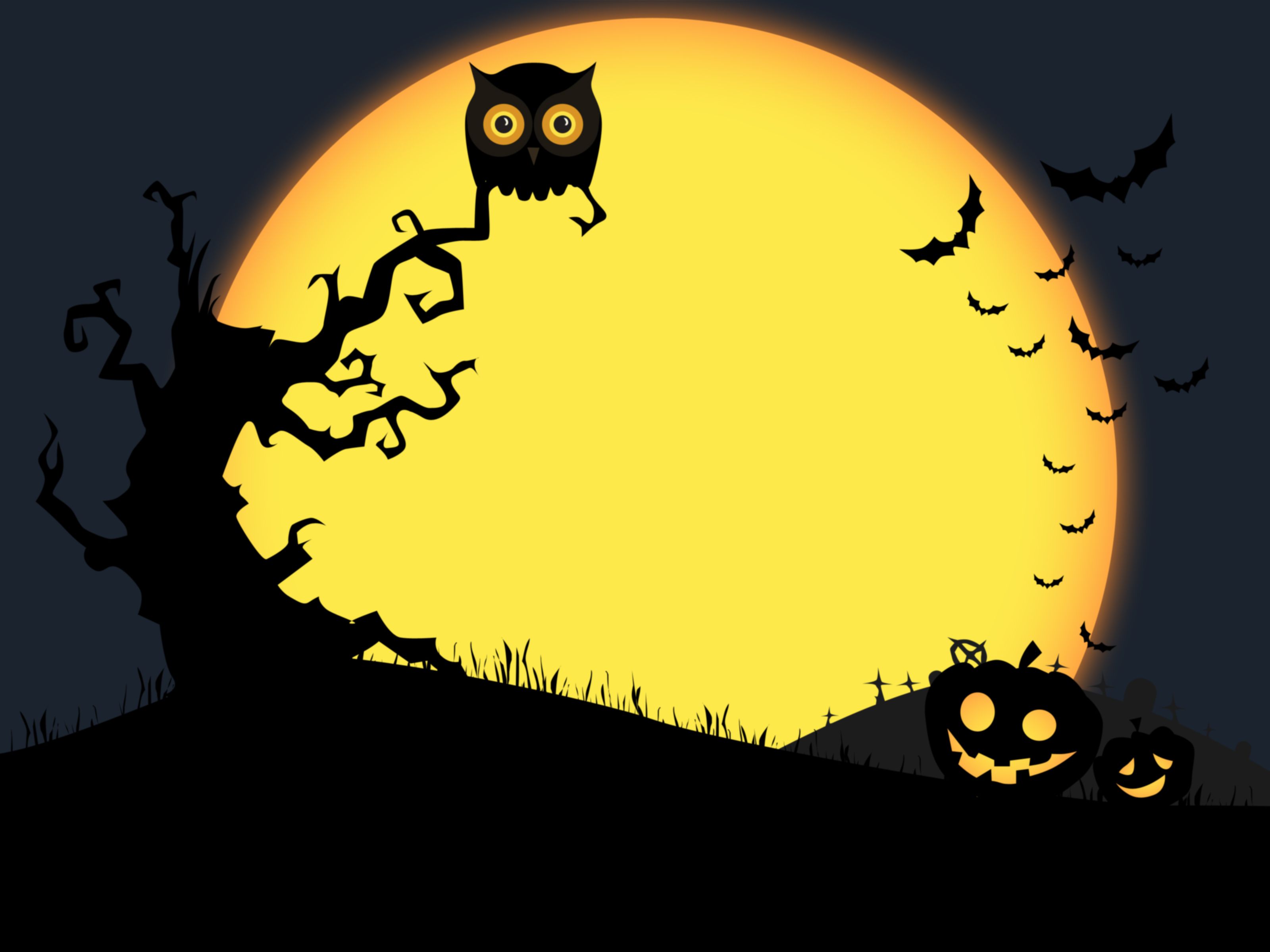 Free Spooky and Fun Halloween Wallpapers