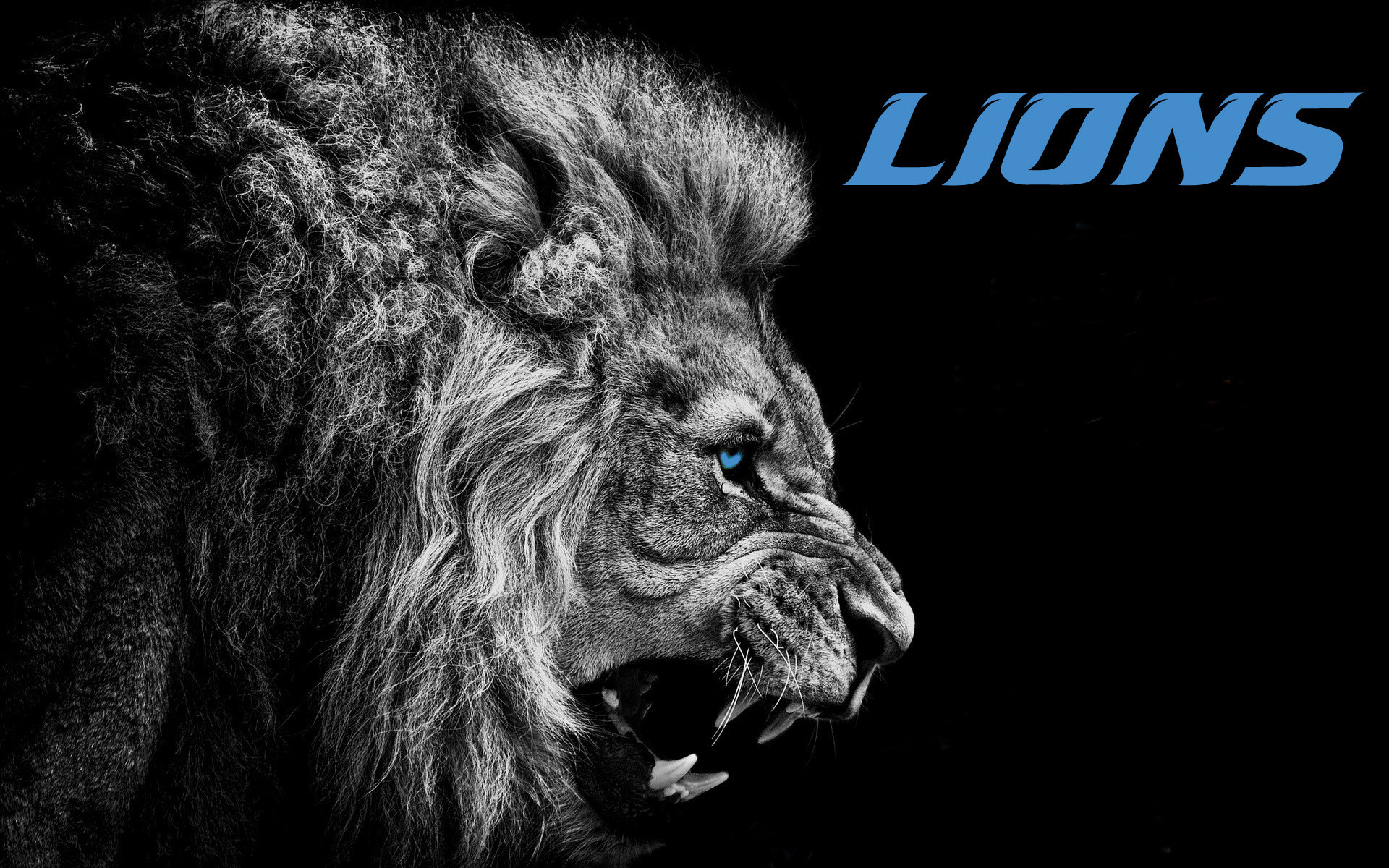 Gallery of 41 Detroit Lions Backgrounds, Wallpapers | SHunVMall
