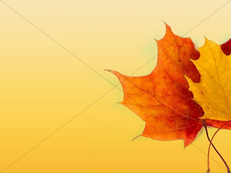 Fall Color Background Image | Worship Backgrounds