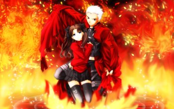 1113 Fate/Stay Night HD Wallpapers | Backgrounds - Wallpaper Abyss