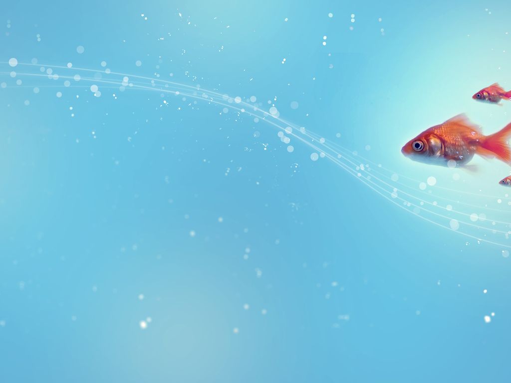 Fish Backgrounds - Wallpaper Cave