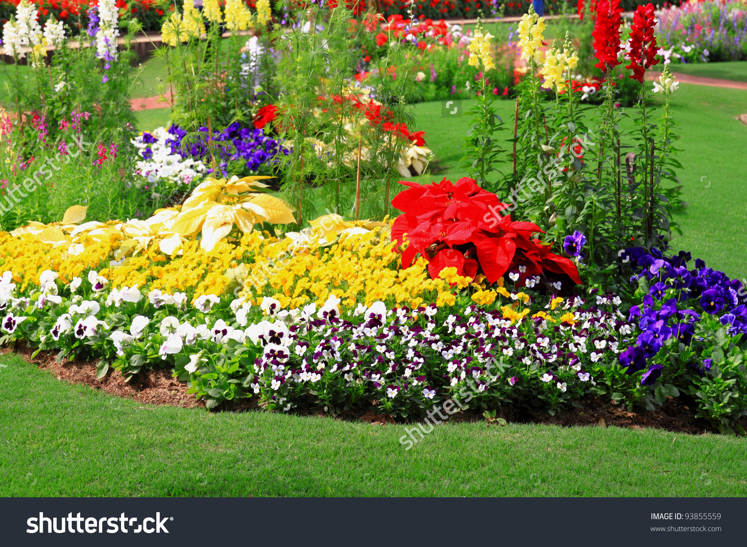Flower Garden Background Stock Photo 93855559 - Shutterstock