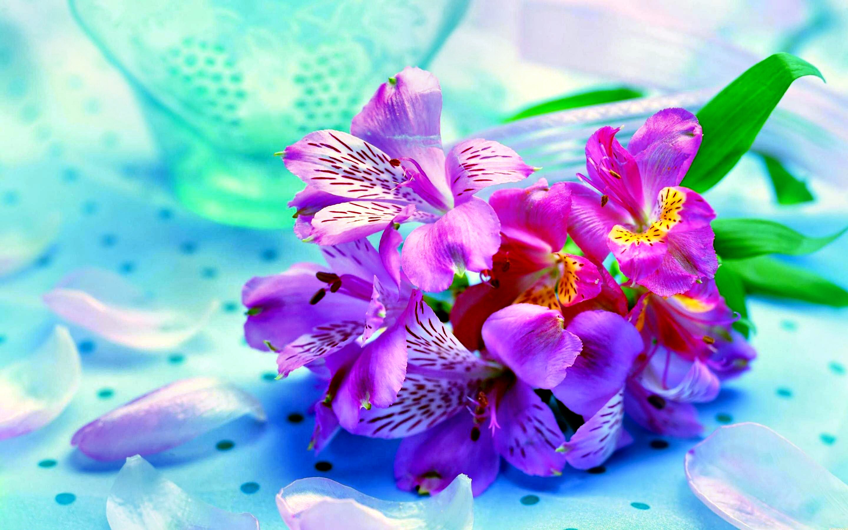 8889 Flower HD Wallpapers | Backgrounds - Wallpaper Abyss