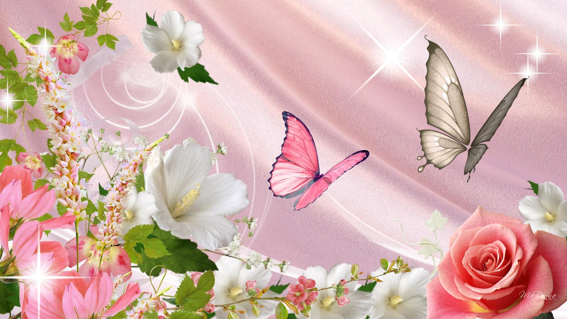 Butterfly And Flower Wallpaper - WallpaperSafari
