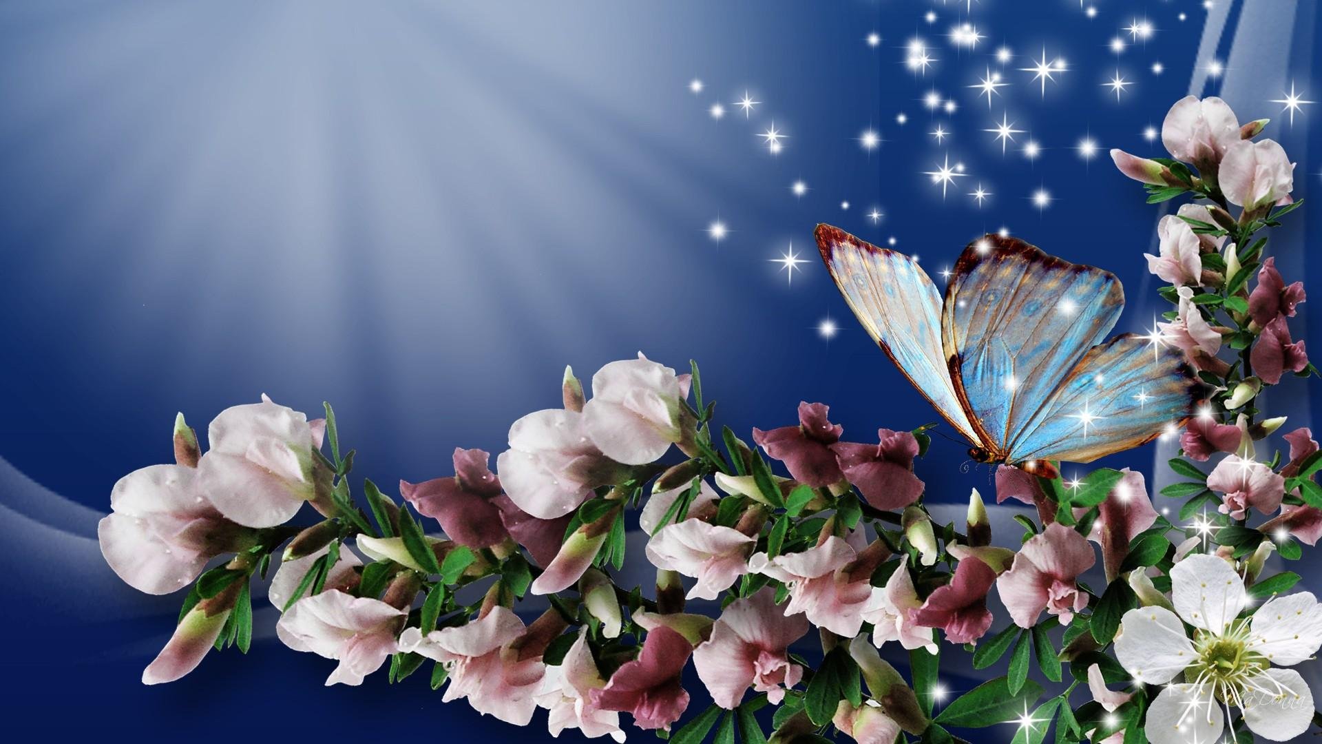 Flowers and Butterflies Spring Wallpapers - HD Wallpapers Pop