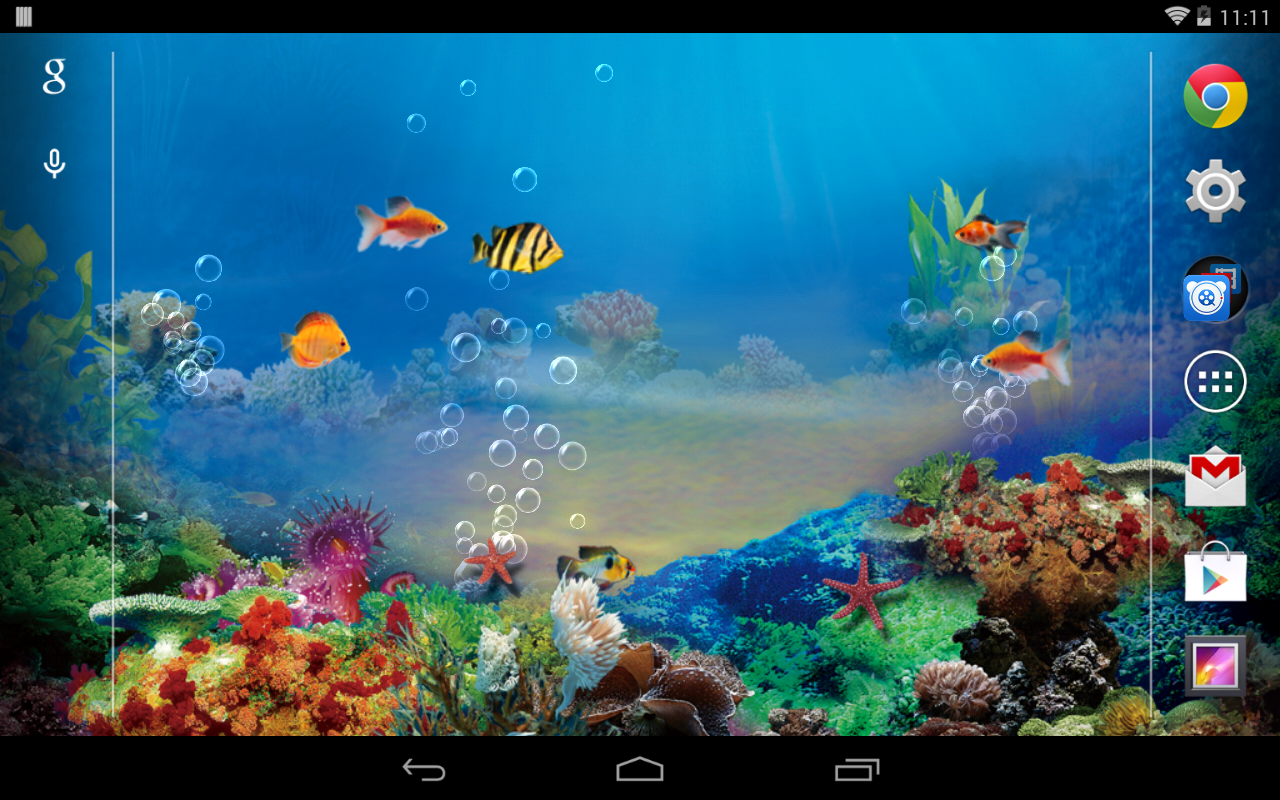 free aquarium wallpaper