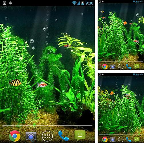 Android Aquariums live wallpapers - free download!