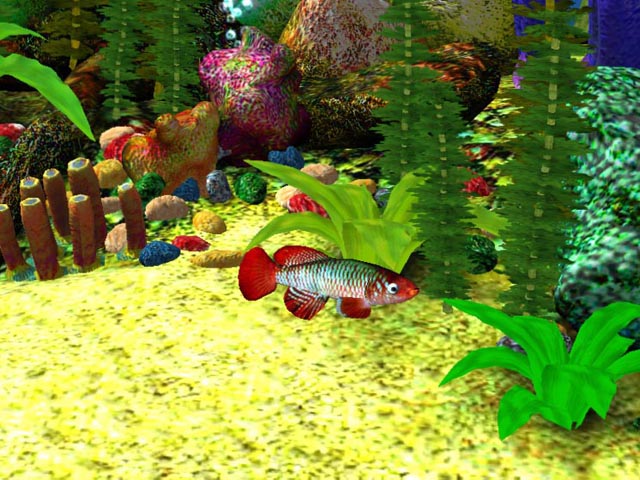 Free 3D Aquarium Screensaver Download - Free 3D Aqua Screensaver