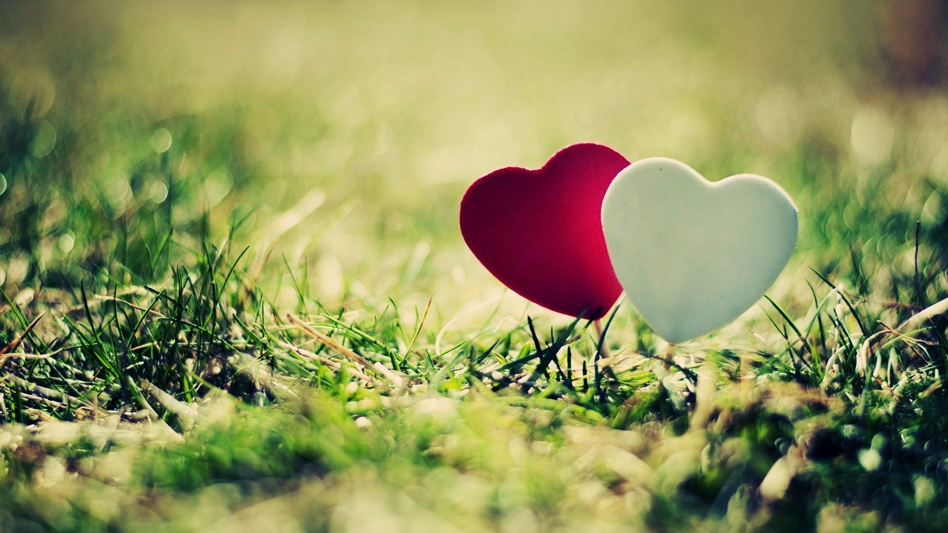 Love and Heart Wallpapers | Free Download HD Latest Beautiful Images