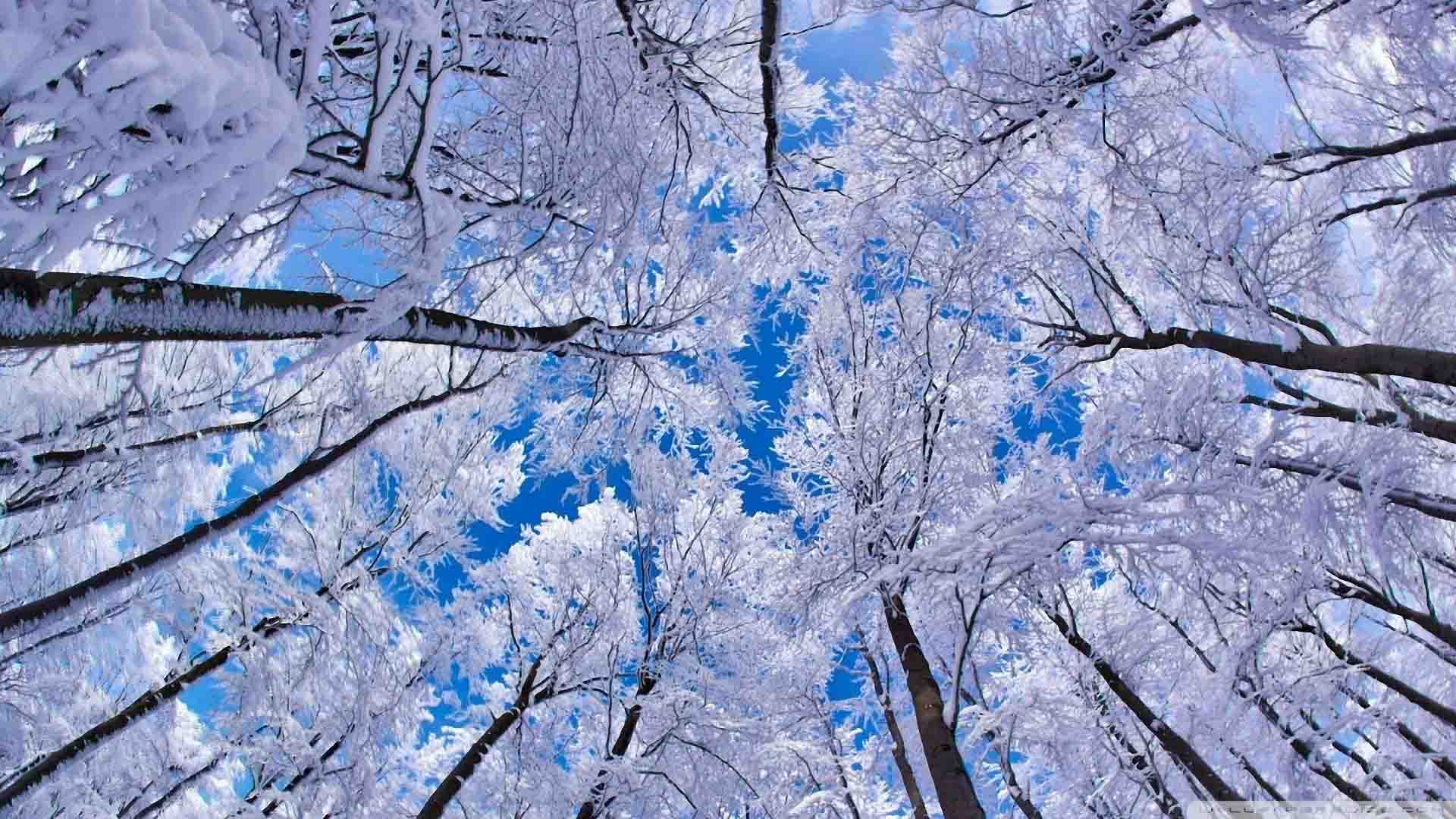 Winter Wallpapers Free - Wallpaper Cave
