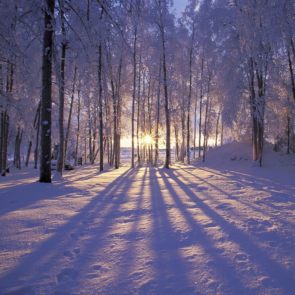 Winter Wallpapers Free - Wallpaper Cave