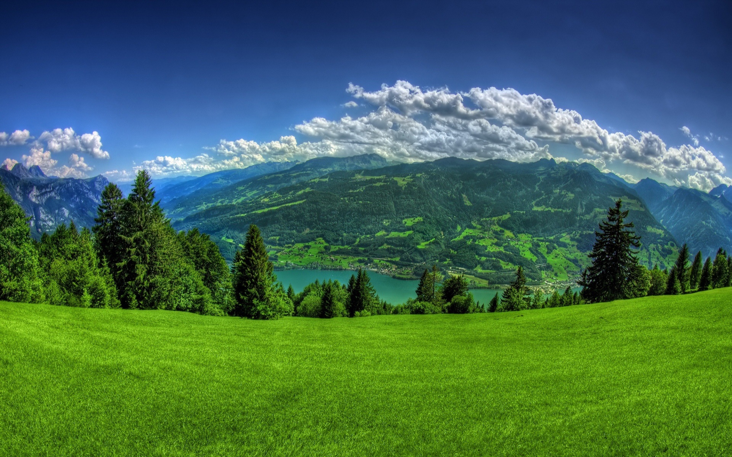 Grass And Sky Wallpapers Background - Excitelt com