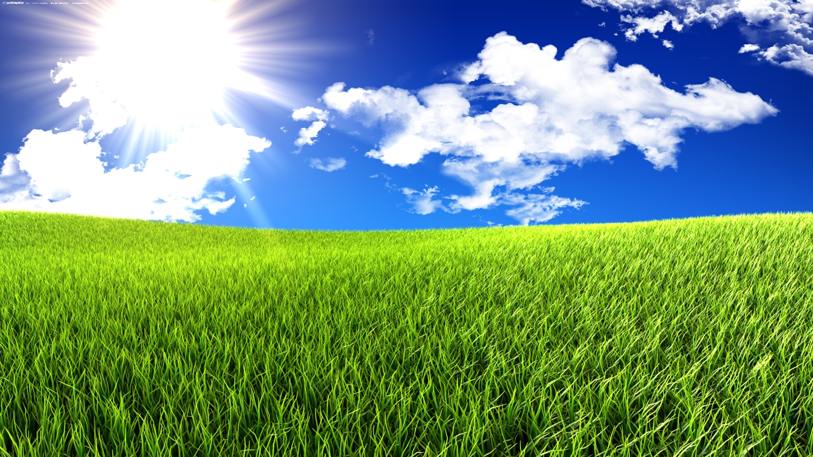 Keywords Grass And Sky Wallpaper and Tags
