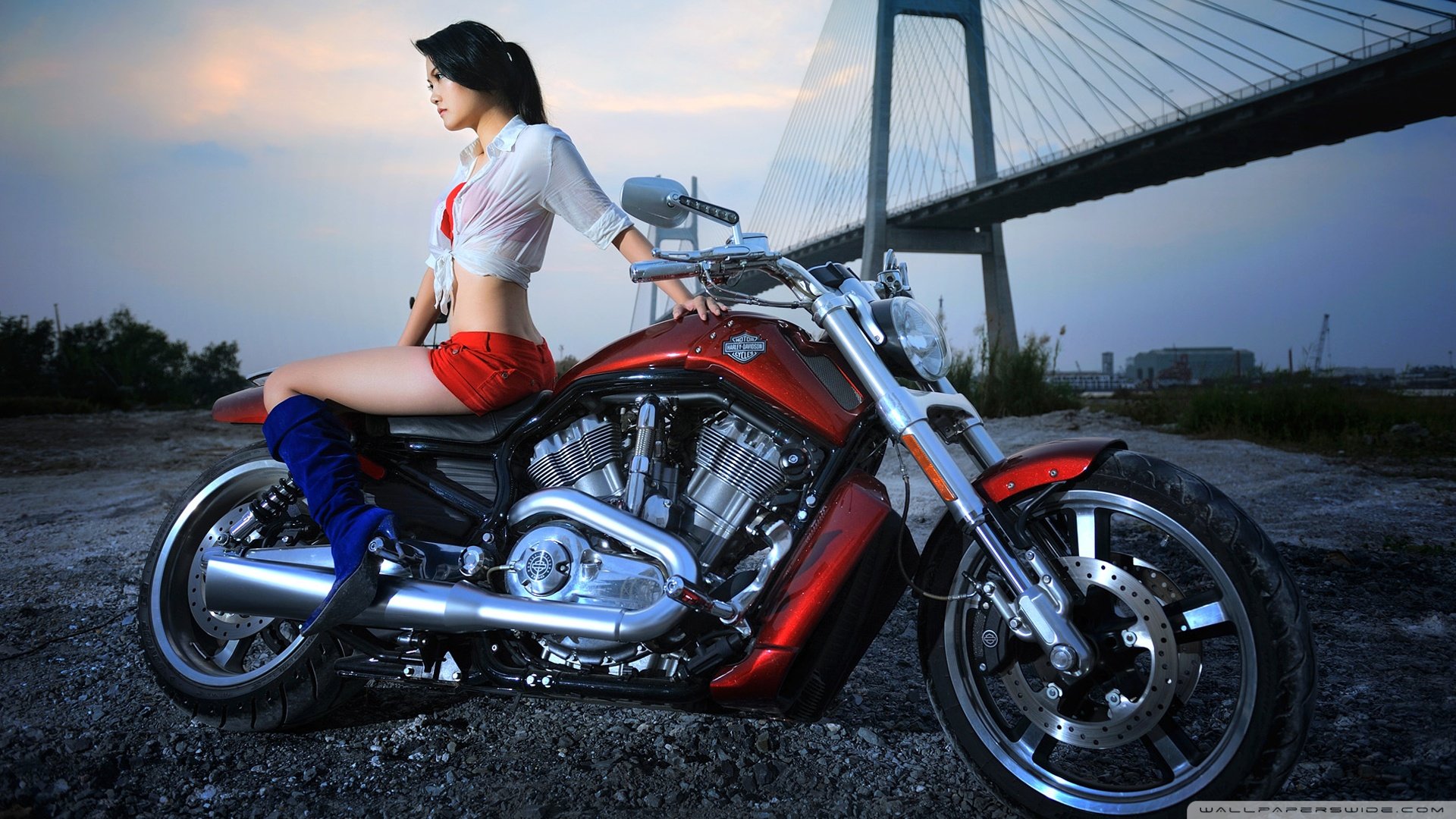 Harley Davidson Bike Wallpapers 7 | Harley Davidson Bike