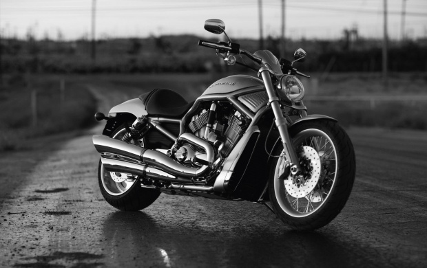 Harley Davidson Motorcycles HD Wallpapers, Free Wallaper Downloads