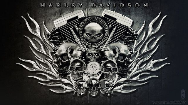 Harley Skull Wallpaper - WallpaperSafari