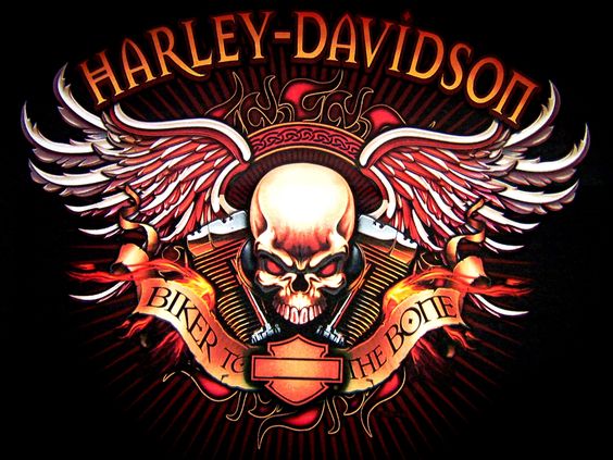 free Harley Davidson Logo Skull HD Wallpapers collection | Art