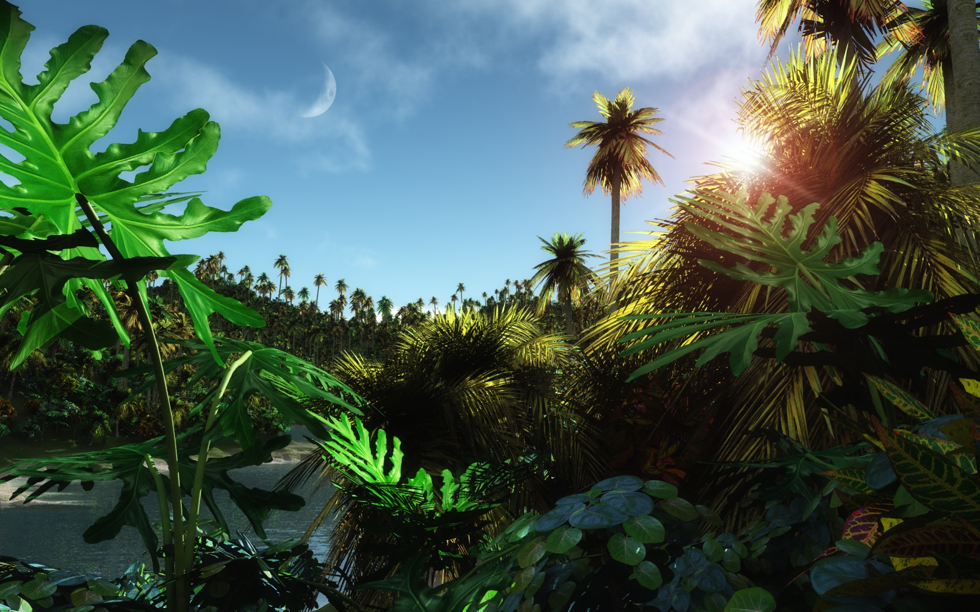 Джангл фото. Джунгли Джангл. МЕГАZOOПАНОРАМА. Тропический лес. Far Cry 3 джунгли. Природа джунгли.