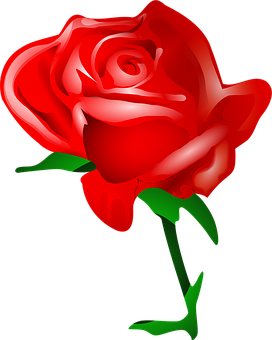 Love, Flower - Free images on Pixabay