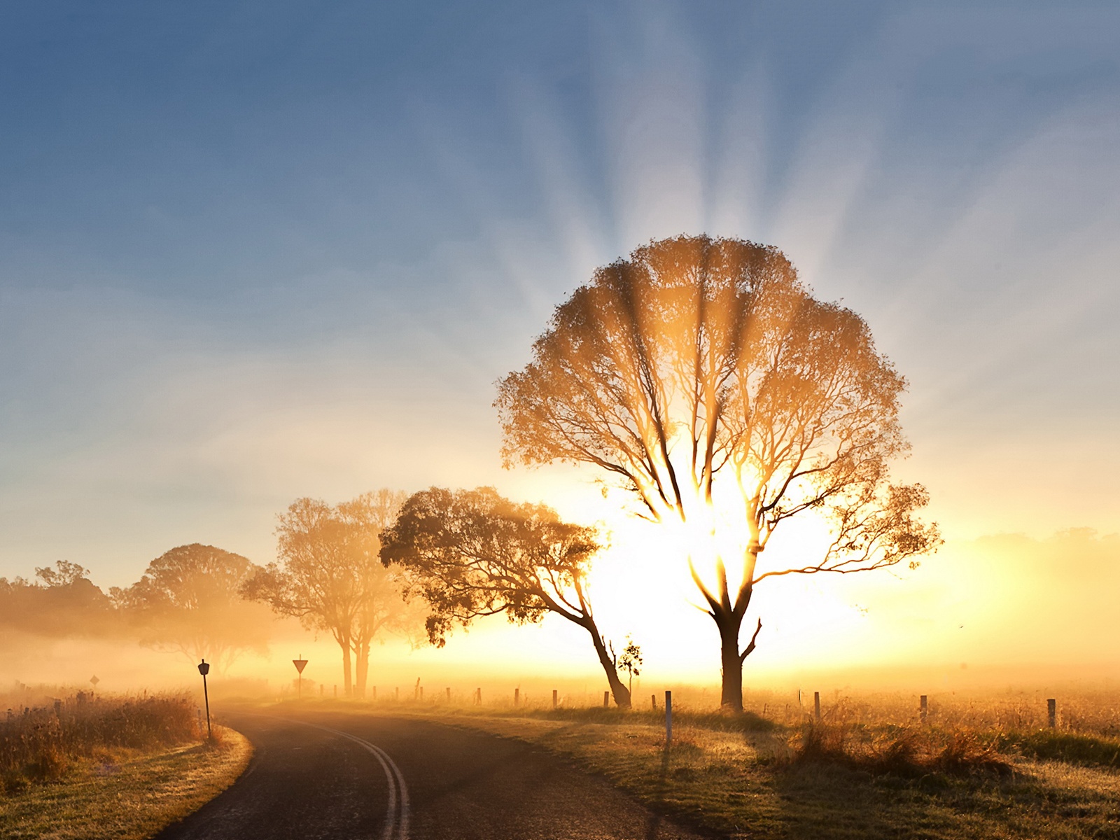Amazing 46 Wallpapers of Morning Mist, Top Morning Mist Collection
