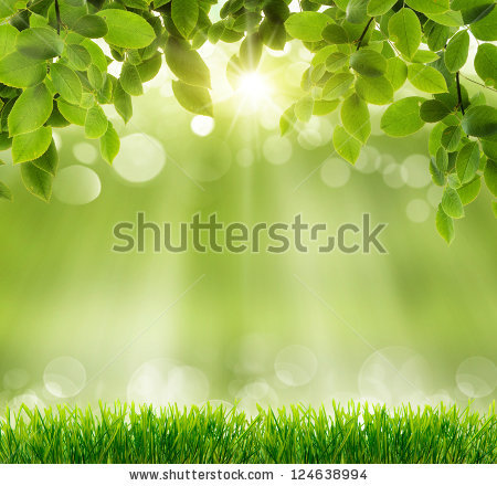 Natural Stock Photos, Royalty-Free Images & Vectors - Shutterstock