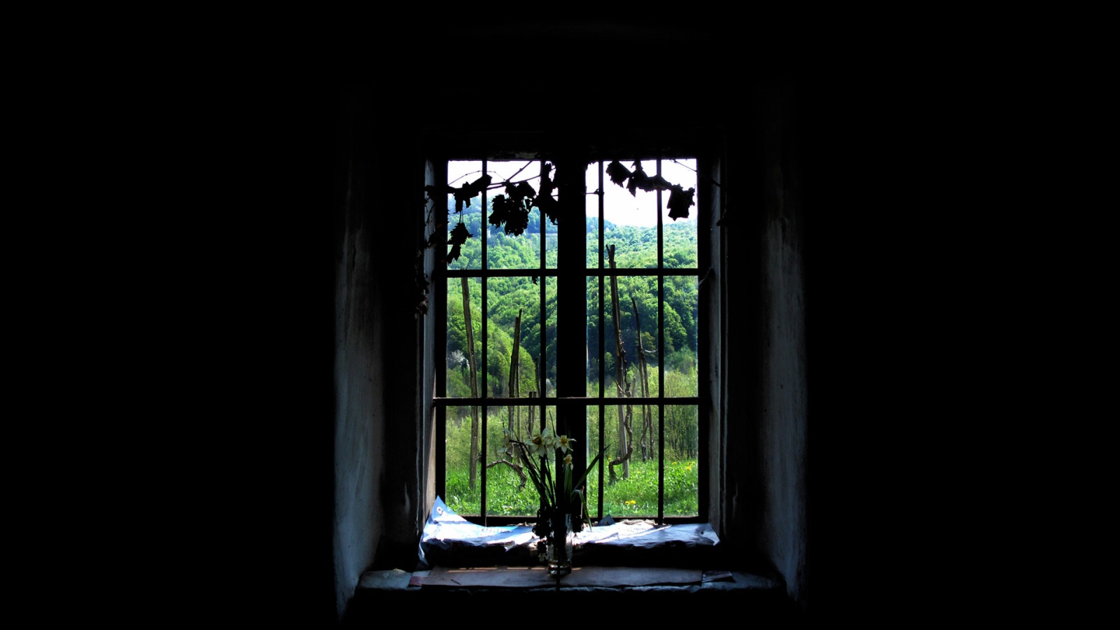 Old Window Wallpaper Other Nature Wallpapers in jpg format for