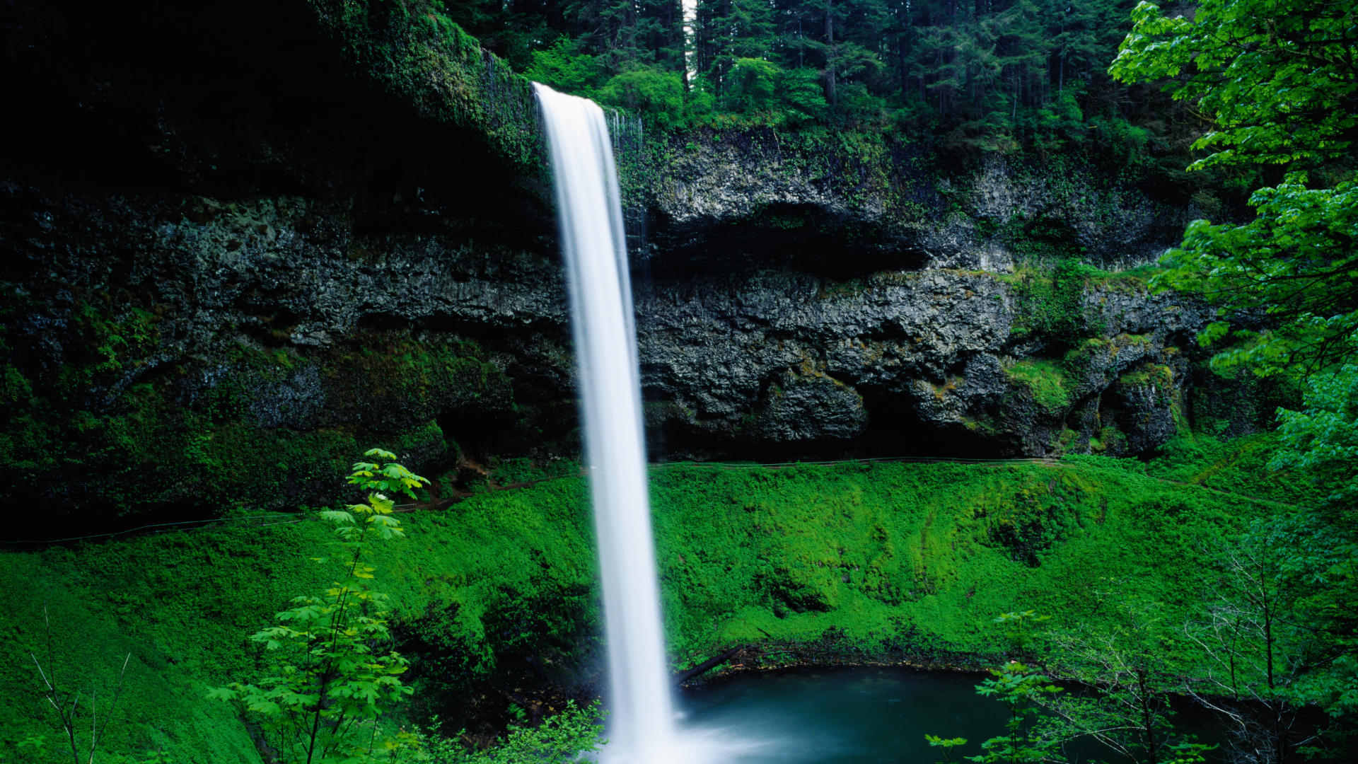 Экран водопад это. Silver Falls State Park Oregon. Красивые водопады. Живая природа водопады. Картинки на заставку компьютера.