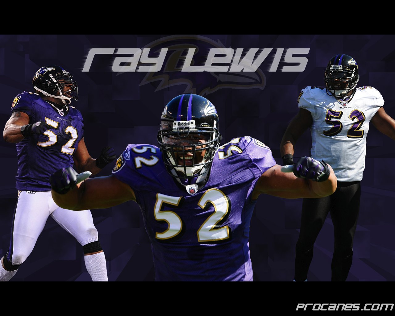 Ray lewis wallpapers.