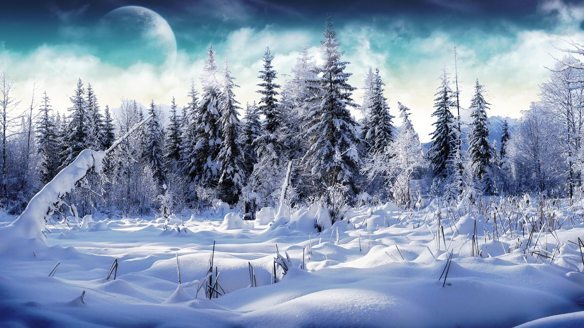 Wallpaper's Collection: «Snow Wallpapers»