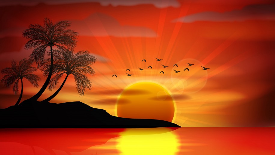 Sunset Sea Paradise Tropical Island Palms Silhouette Birds Sea