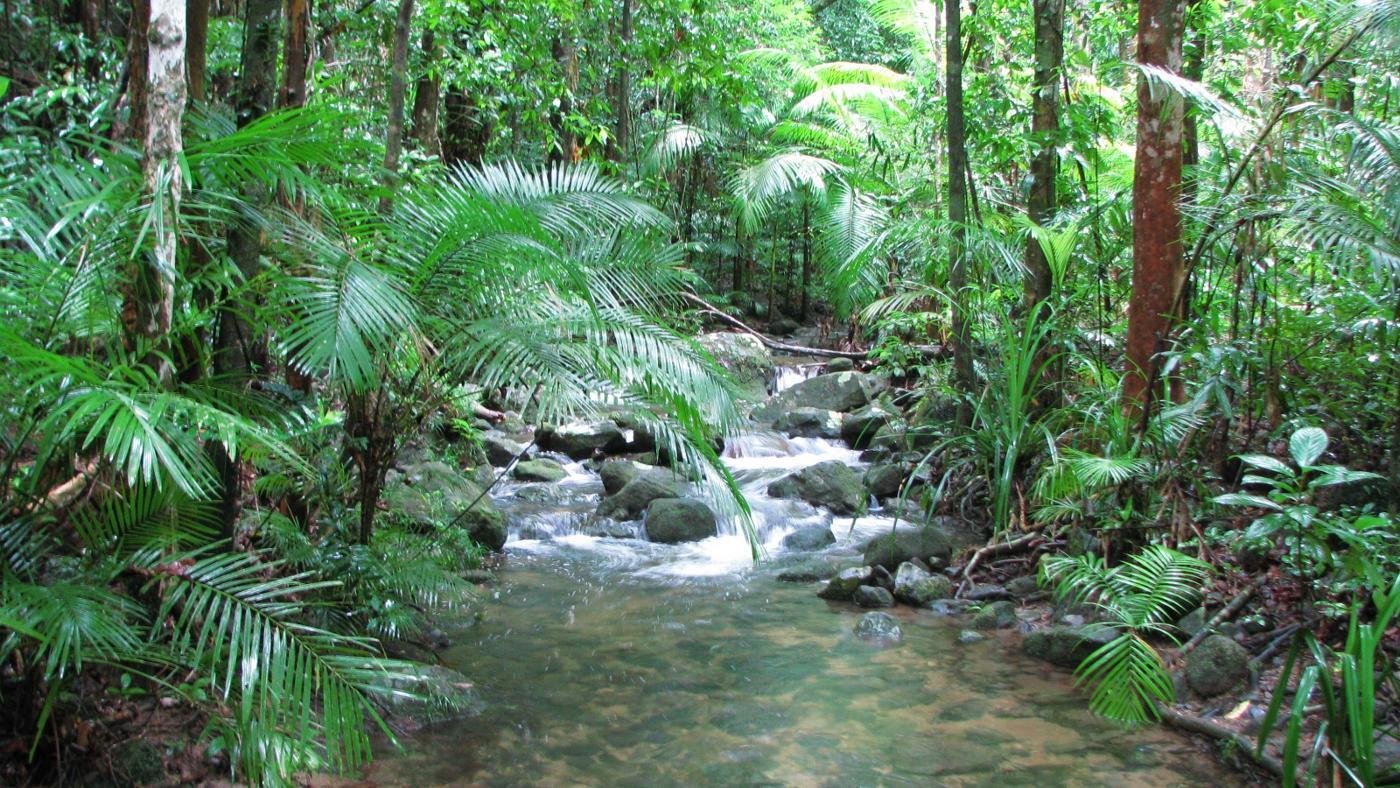 What are tropical rainforest landforms? | Reference com