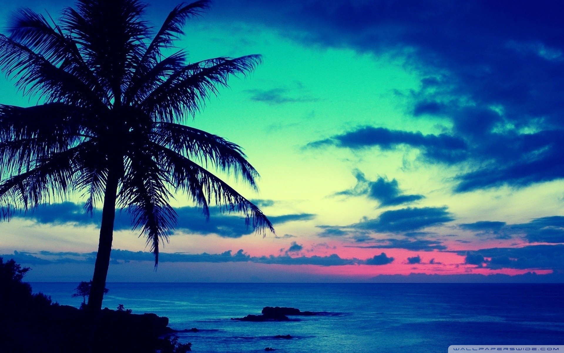 Wallpaper's Collection: «Tropical Wallpapers»