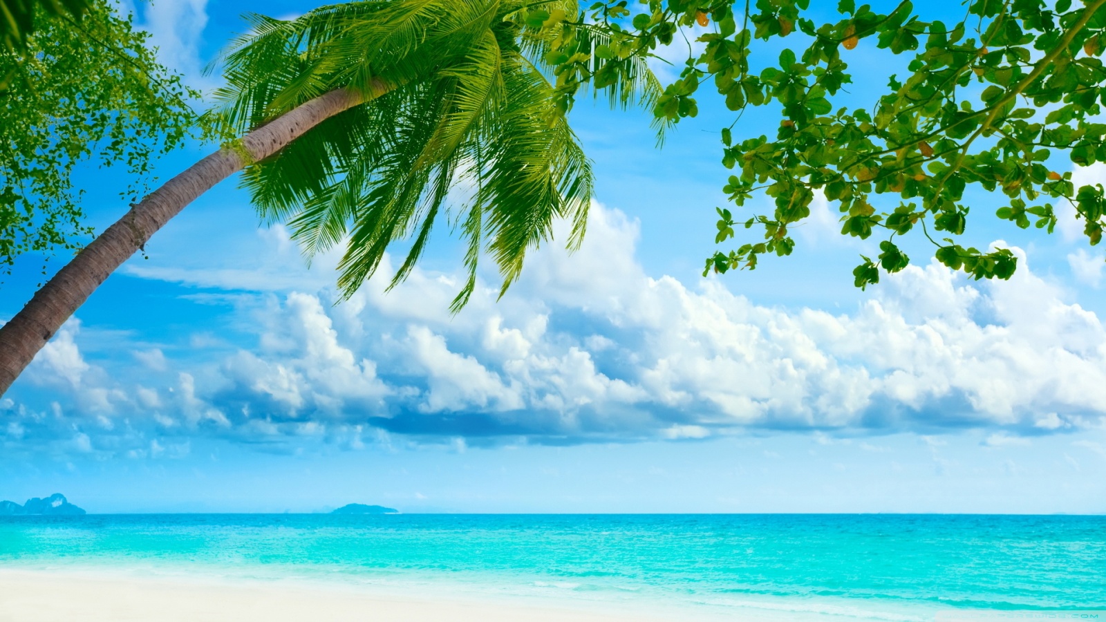 Tropical Beach Resorts HD desktop wallpaper : Widescreen : High