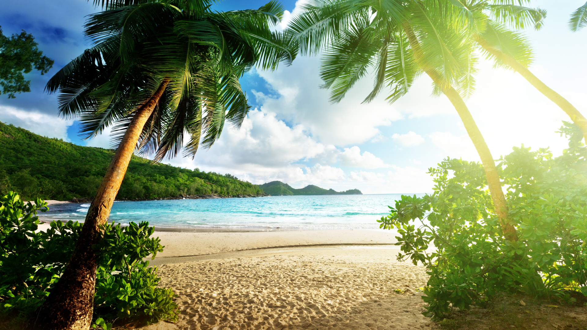 Tropical Paradise Beach HD Wallpaper | 1920x1080 | ID:56315