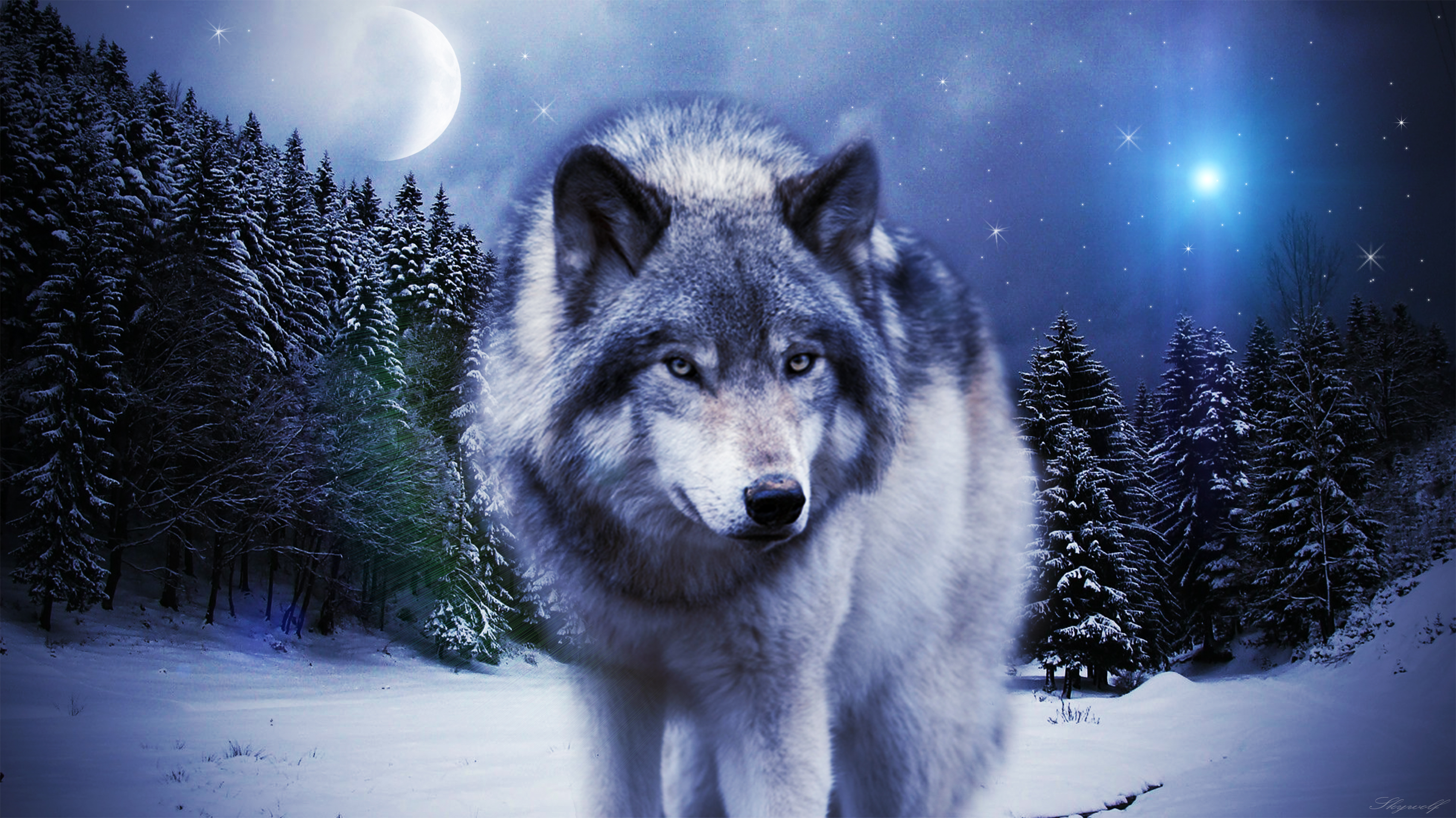 10 Best images about Wolves on Pinterest | Gray wolf, Wallpapers