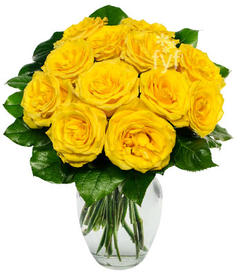 One Dozen Yellow Roses at From You Flowers