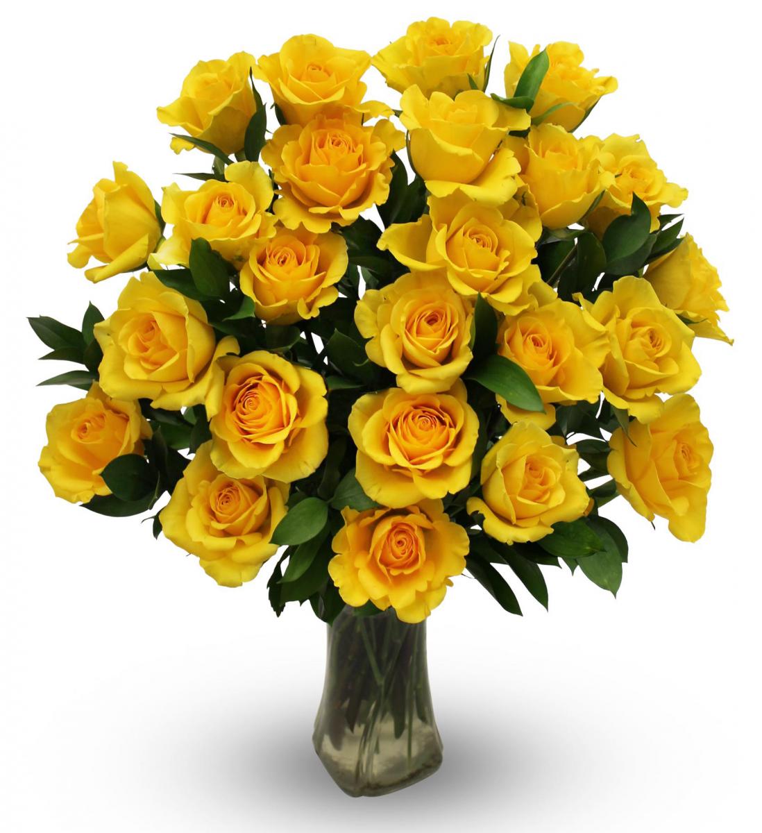 Yellow Roses - Two Dozen | Avas Flowers